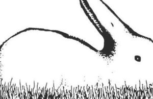 Do you see a duck or a rabbit? What you see first will reveal hidden aspects of your personality.