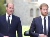 ‘The whole situation is just very sad’: Prince Harry and Prince William considering rival documentaries to mark major Princess Diana anniversary