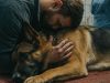 The dog hugged its owner one last time before being put to sleep – and suddenly the veterinarian shouted: “Stop!” – what occured next made everyone in the clinic cry