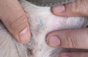 Didn’t know about this