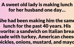 A sweet old lady is making lunch for her husband one day…