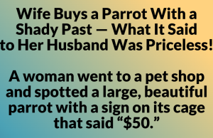Wife Buys a Parrot With a Shady Past — What It Said to Her Husband Was Priceless!