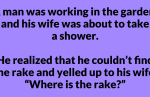 A man was working in the garden