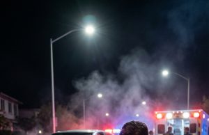 I almost said “No” to the stray dog my son found behind the store. I didn’t realize that ordinary night would end with a drunk driver and a dog standing between my son and death.