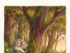 The Wolf Needed Privacy